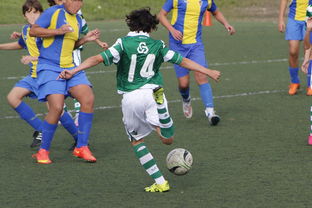 kaiyun体育综合-国际足球协会推动足球全民普及，青少年参与度飙升，各国青少年足球注册人口